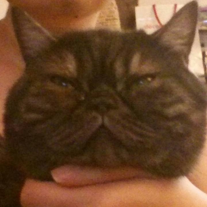 94a86407 6871 4dbc bb81 8c857d1394be