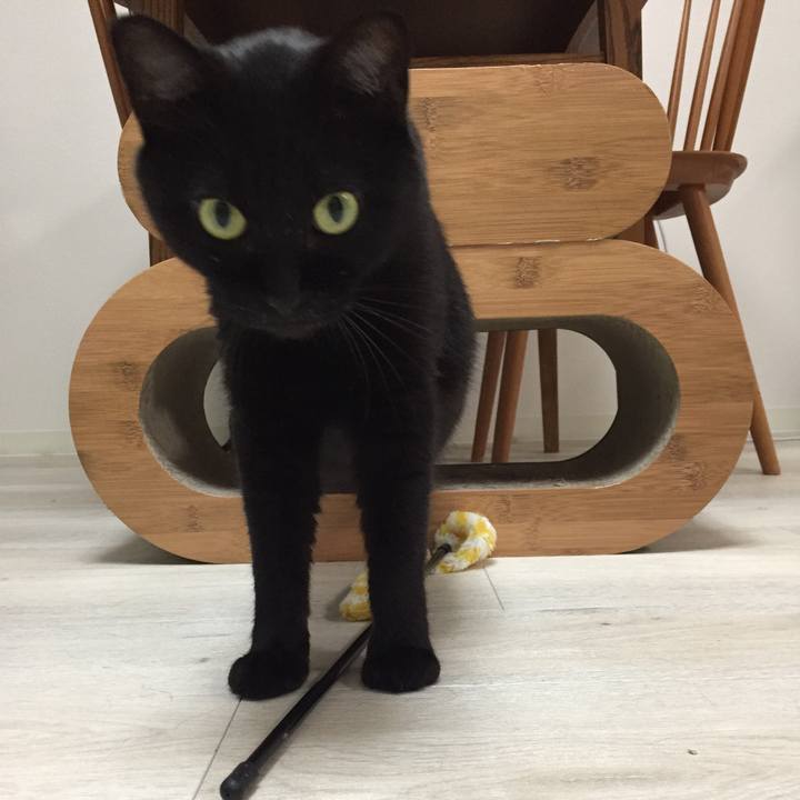 94a8bb17 ec3c 4af9 bc4a 18fb30060fb6