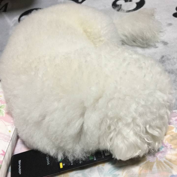 94a921b4 5d70 48e8 9d30 1dcdaca6f882