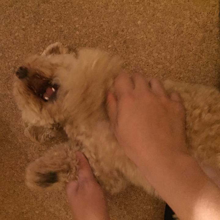 94aa202b 8995 4608 8e5f 9d4fbef3b0f7