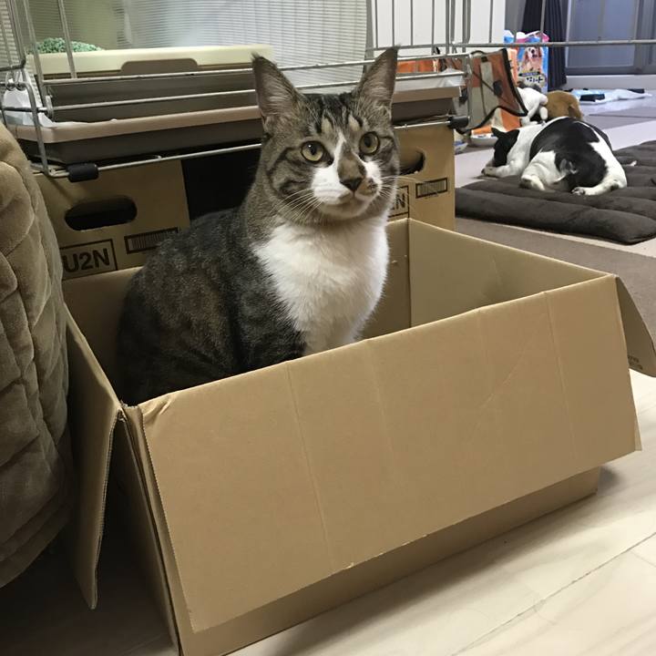 94aa2829 7f09 4659 bcb7 970c34ebb01c