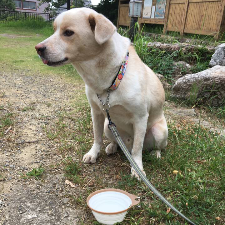 94aa3448 89be 4ed9 8d94 4c5b9a6b5f95