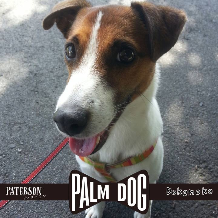 94aa5ce9 e1f4 4de6 8621 1680c65c67f9