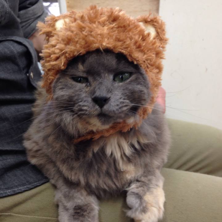 94aae57a 6d50 4de8 bb06 3597a3e02c7b