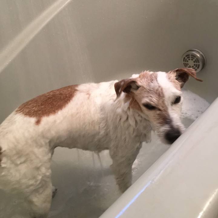 94ab6be0 0925 473a 9a0e cf3ea1ecc61b