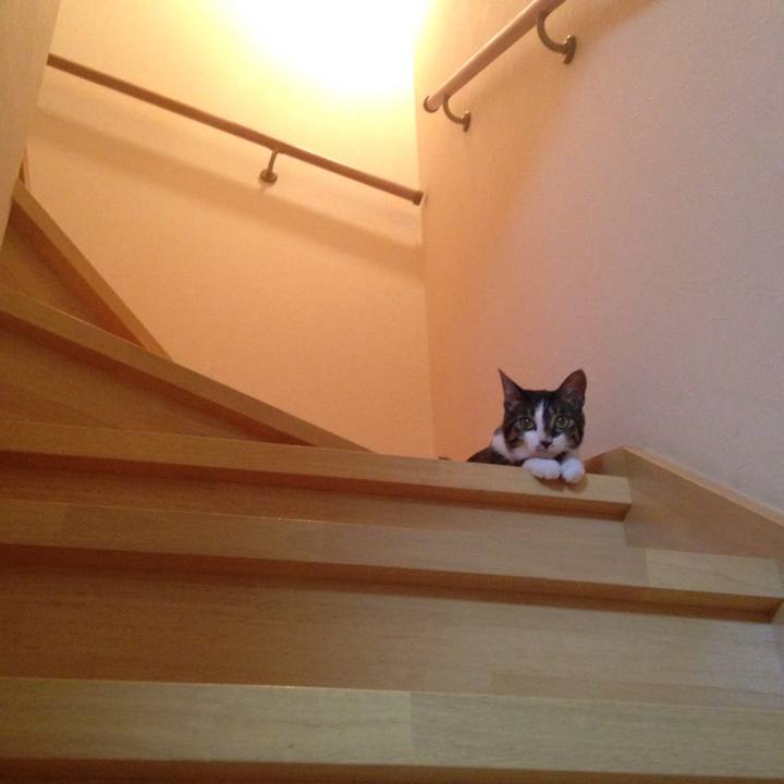 94ab800c f810 41c5 b6da e407044a2ed1