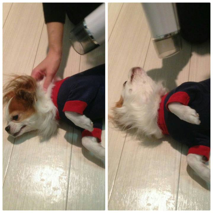 94acd86d 6c8a 444c 8bd8 578e24ef6164