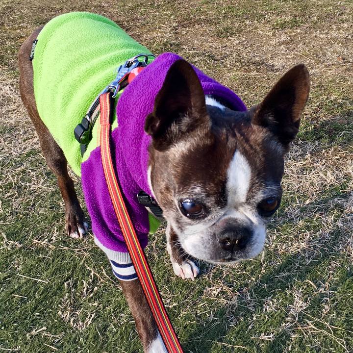 94ada655 8636 41fe 9ffe 3d28f4d9c0cc