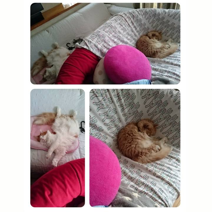 94adcee6 5289 436d b816 f92b6fd84be4