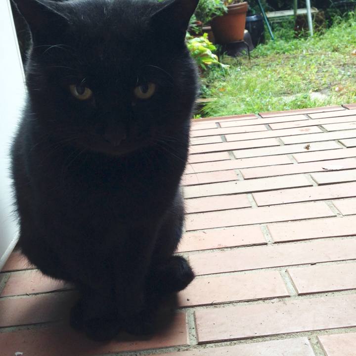 94add043 dd9f 411b aaab a2c66687a554