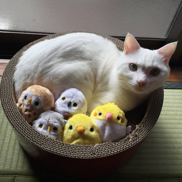 94ade9bb d888 4f89 8109 8f731f305801