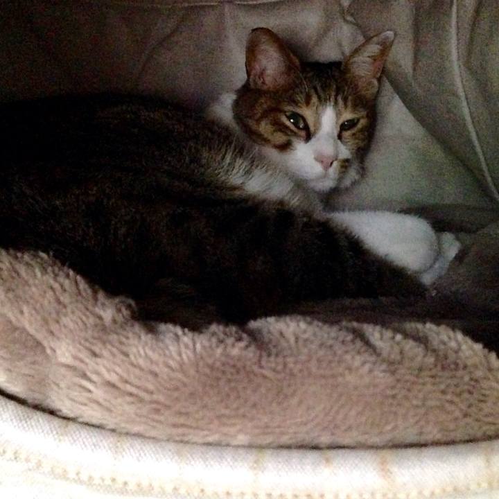 94ae07ca 5627 4329 b719 0f24d5de3abd