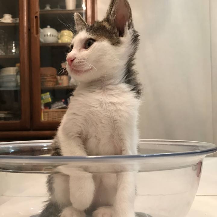 94ae706d fecf 4797 829c ee99c4ea2ccd