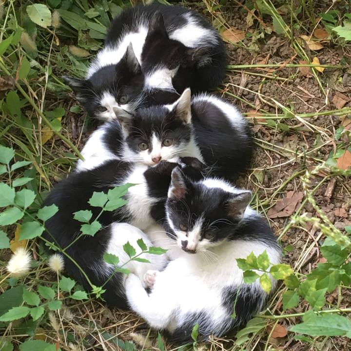 94aec7ef dd07 47d4 b4ad 9eca0cf46c59