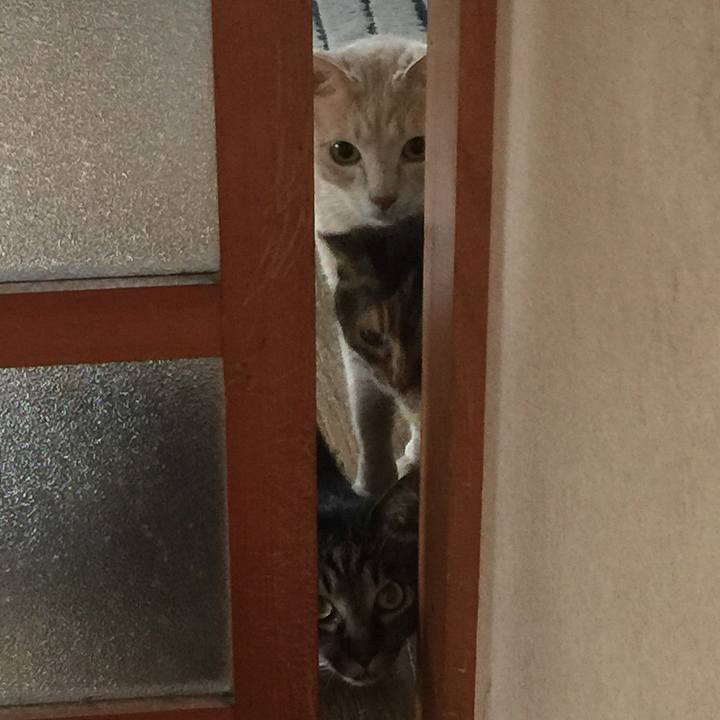 94afb016 91a8 4c60 aae7 2f07d4719ab2