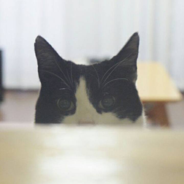 94afb0be 309c 4541 ae63 f1e76a0fd329