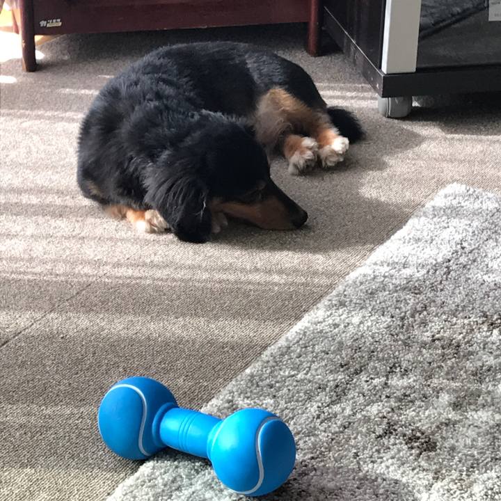 94afd020 aca6 4934 a5a1 5f49755671be