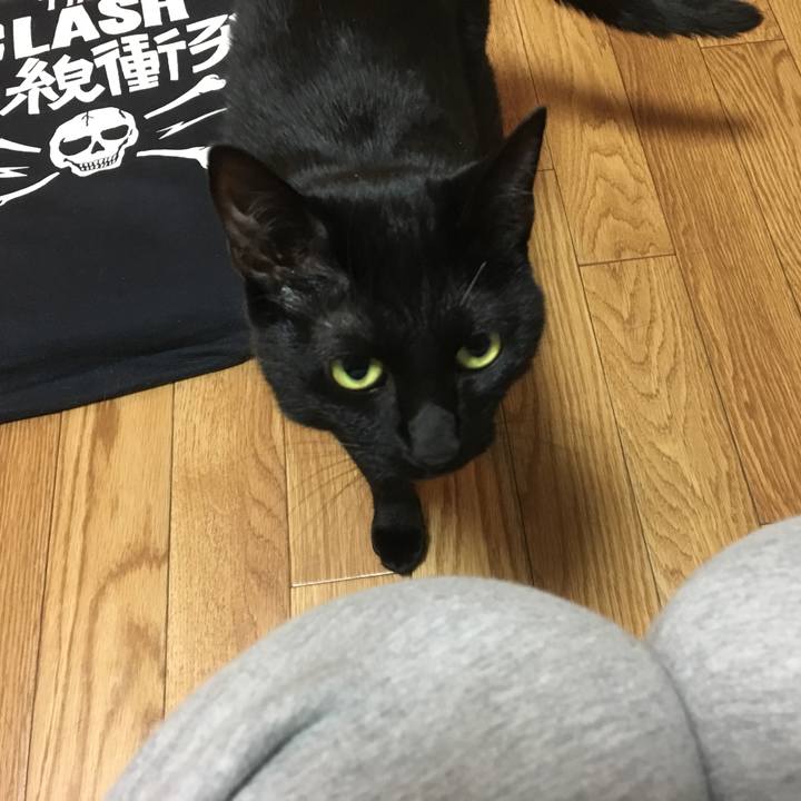 94b01fab 4d99 41ff a807 e09c2519d593