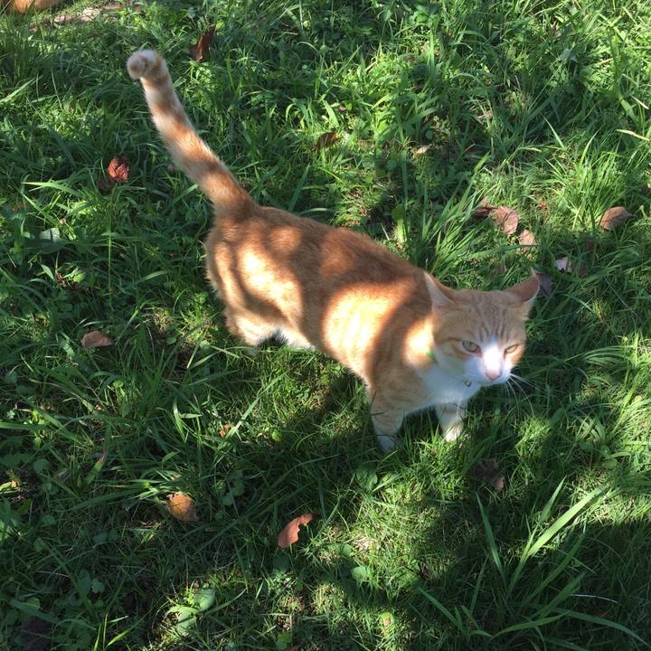 94b081a0 98b2 46d0 9d40 f73ce8dd50a3