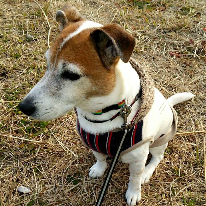 94b0a8a7 ee17 4b19 8dcb f66c34885829