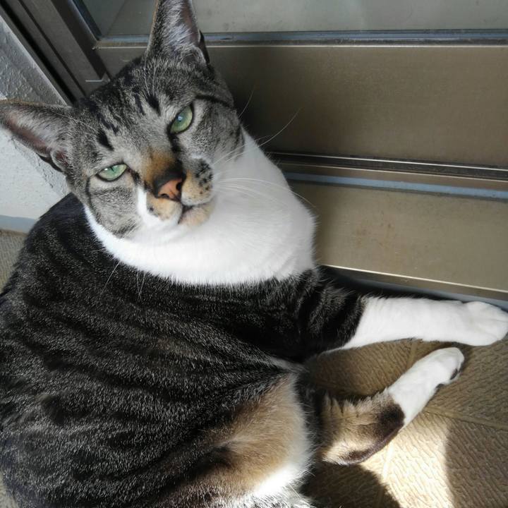 94b24c35 f156 43d8 b840 e8d79fc317cc