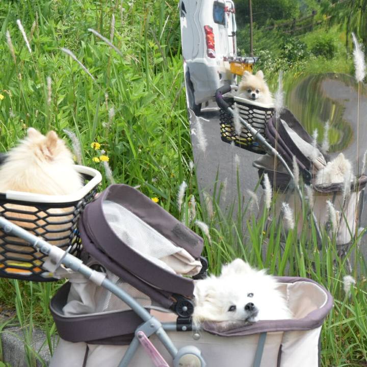 94b2b4ce bb3e 4dde b089 a75c48b118b6