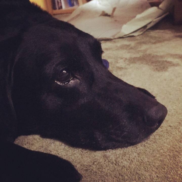 94b3257e 1974 4922 ab32 a06761fe9b85