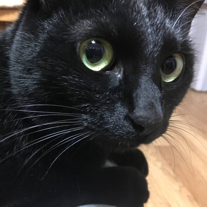 94b376db f75b 4b4b 8168 3ef416027b44