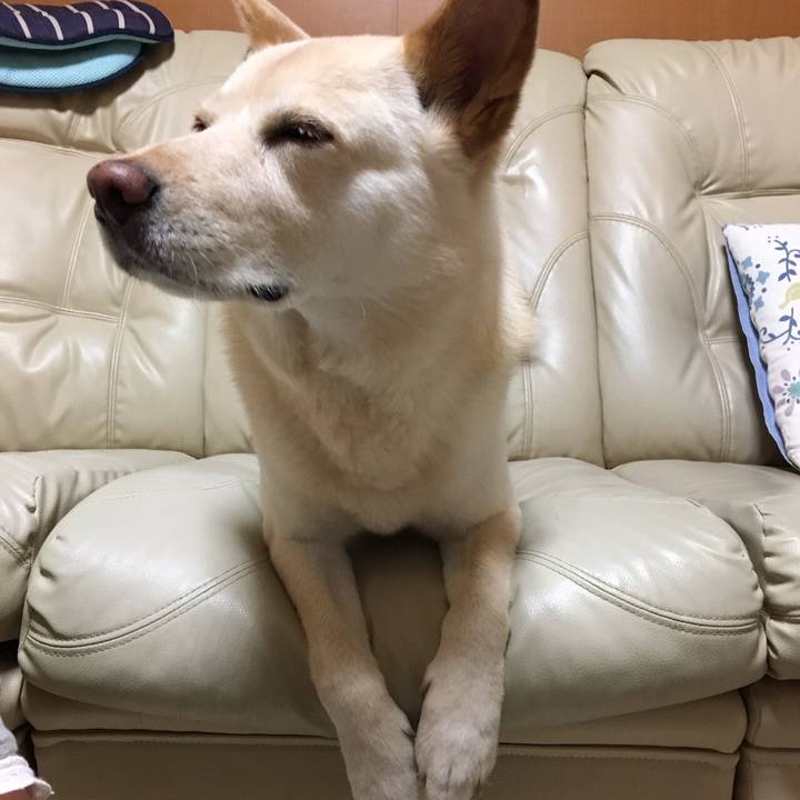 94b3a845 ffd4 46be b086 bb0473d05c9b