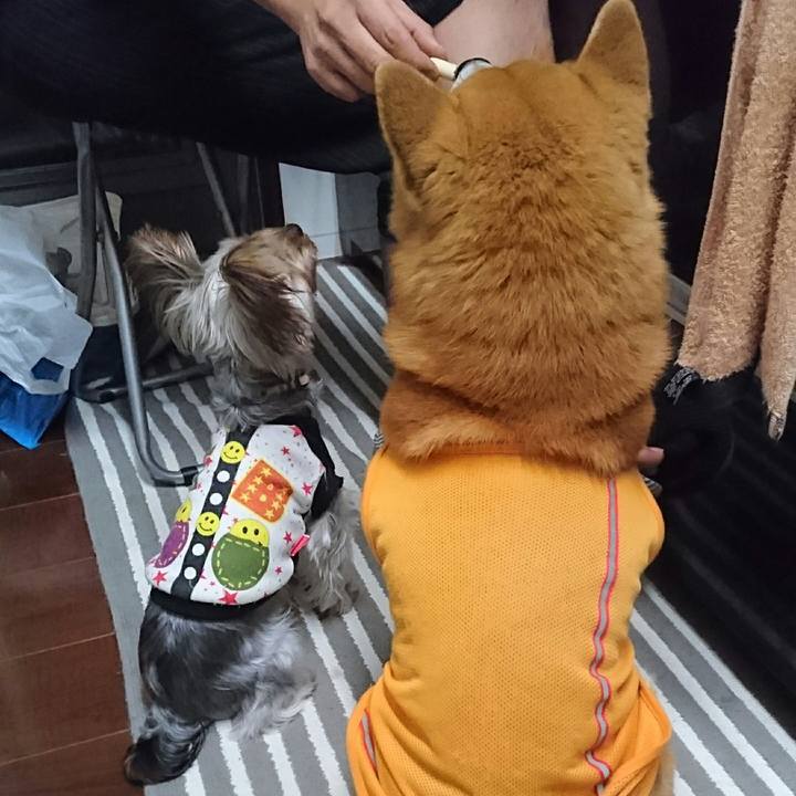 94b3c597 c5a8 4cbd 87a7 c94f4f1b614b