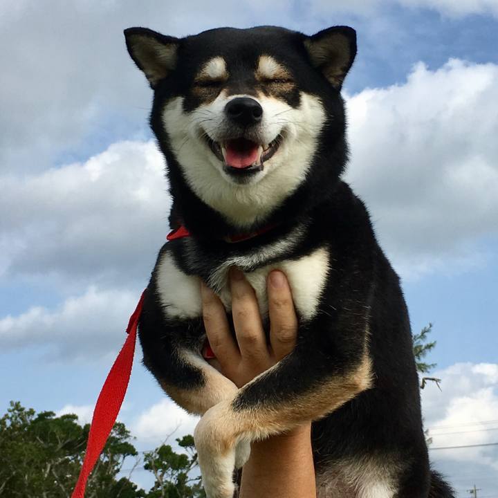 94b45a06 c6a8 4fda b218 bbdd4849e94b