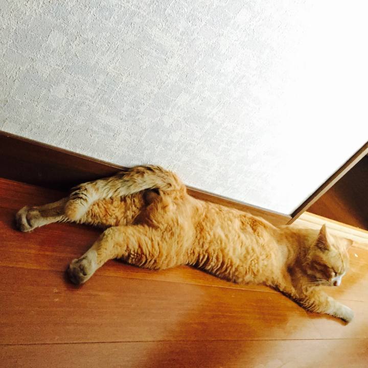 94b4c672 b5e2 44bd 9146 d8c522c1356d