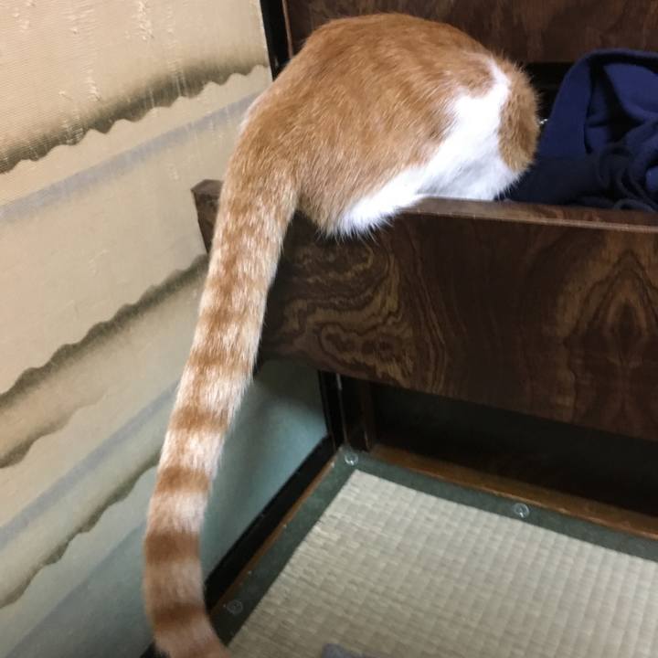 94b4dd07 4a56 4b95 b796 e1796f4d64ed