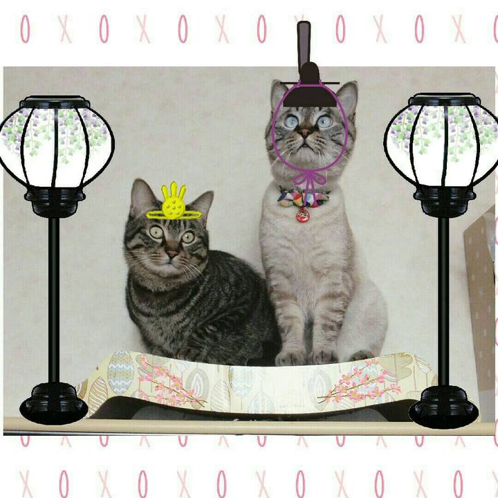 94b54d76 e8a0 41d2 94db 692898ea4f74