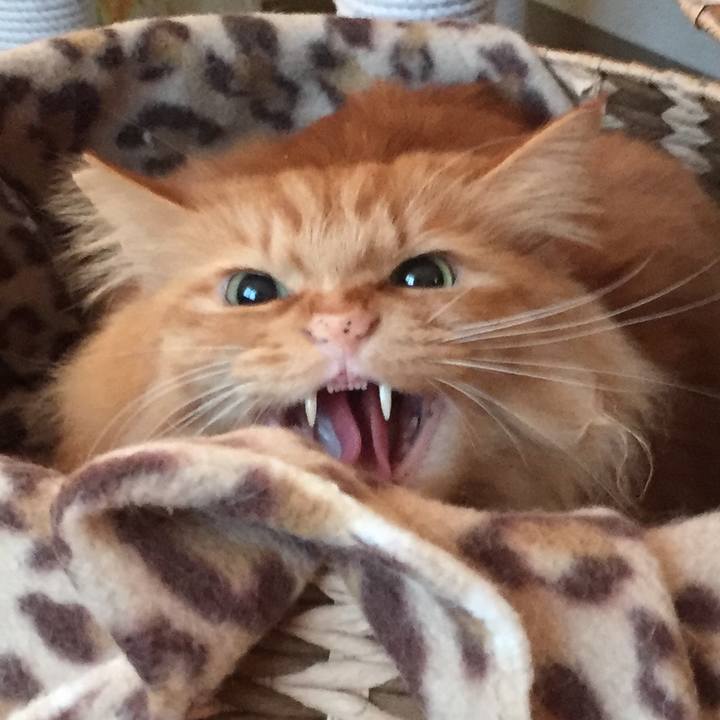 94b58a35 3719 486a 8cef 68a88ad38176