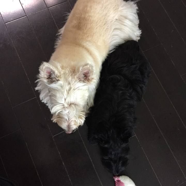 94b63a0e db75 4a00 a41f 115aa7f3e80e