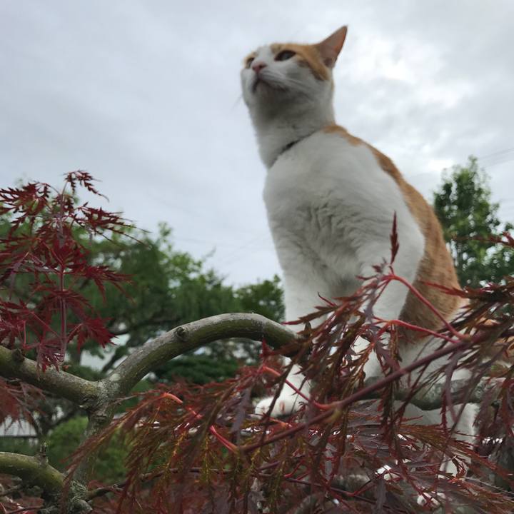 94b687a4 d45e 452d aab8 a13d9b93578e