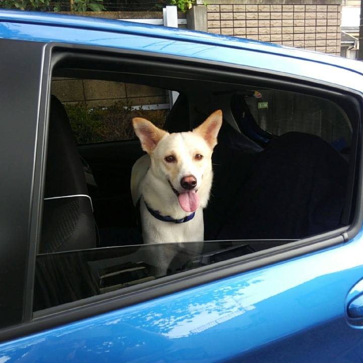 94b6d588 64ca 4859 91ea f450a7ea65b7