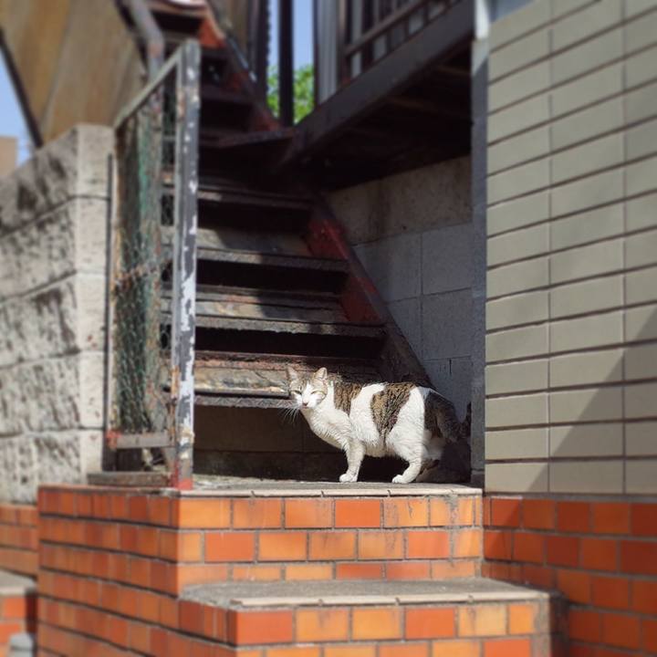 94b774d1 e746 4758 b0be 66633b2e3e41