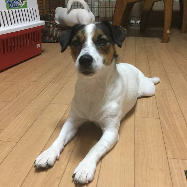 94b7b702 a448 42ed 929b fe691ff6cbb7