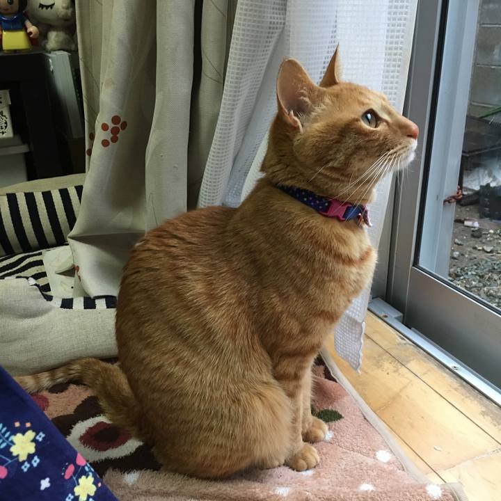 94b7e295 9836 46f7 8c3c f112374016da