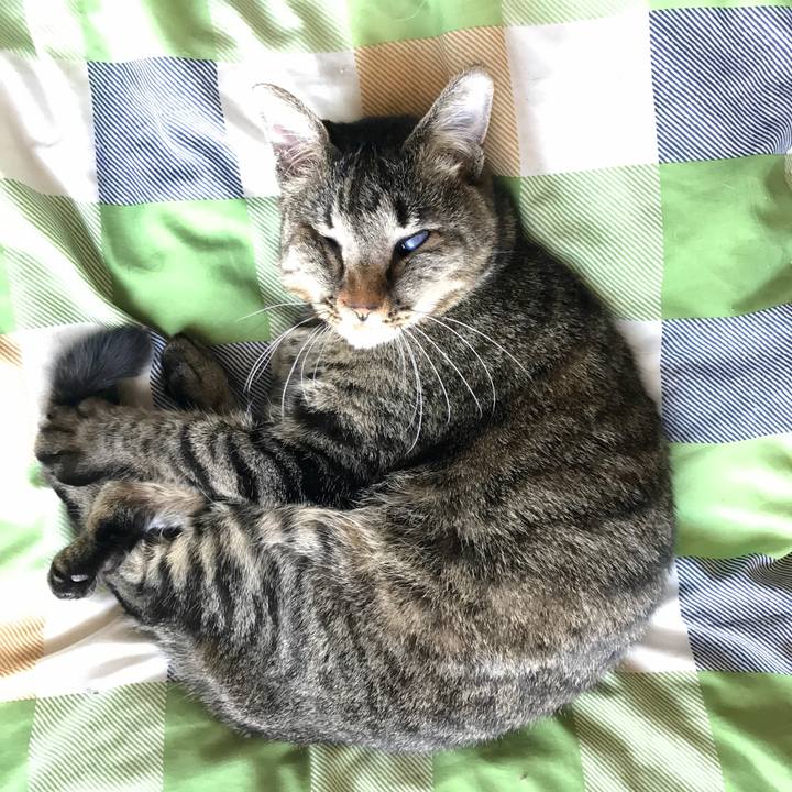 94b88a30 db34 4afb b4d8 b0886e77320a