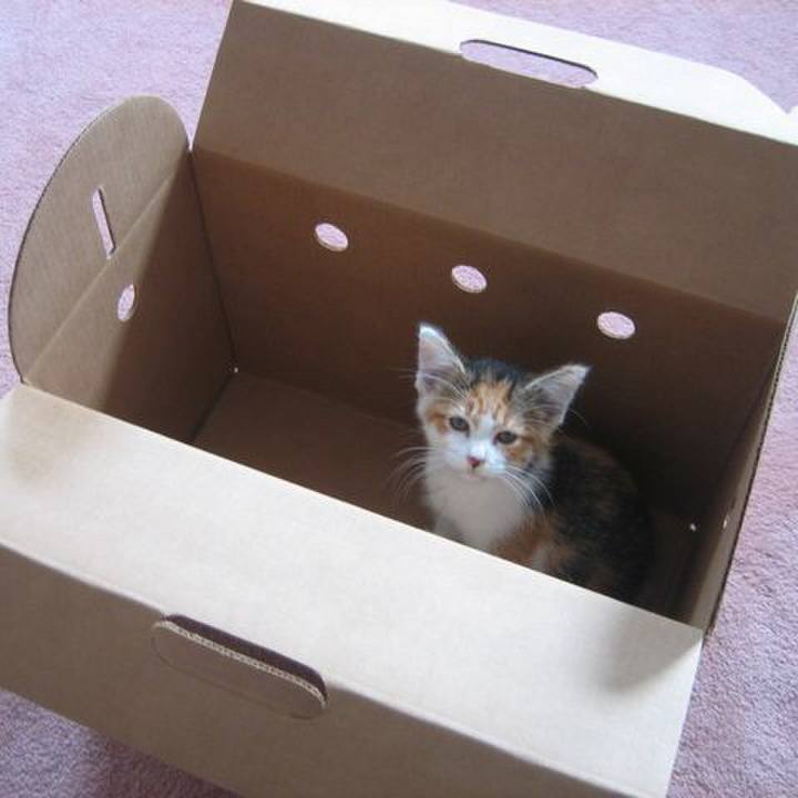 94b91197 53e9 4ce2 bcaa 0b1ac33e4b53