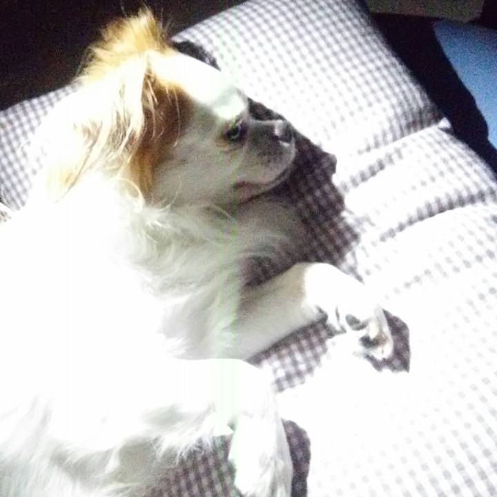 94b946df f4bf 4230 95b1 bbe1d5b60cce