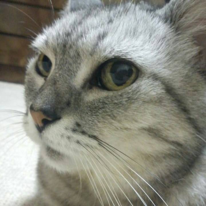 94b992d2 17ae 4e86 91e3 144ea7424e6d