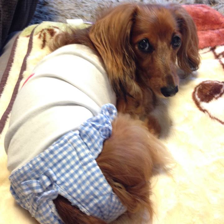 94ba13a2 b2b0 471e b231 8028f488781f