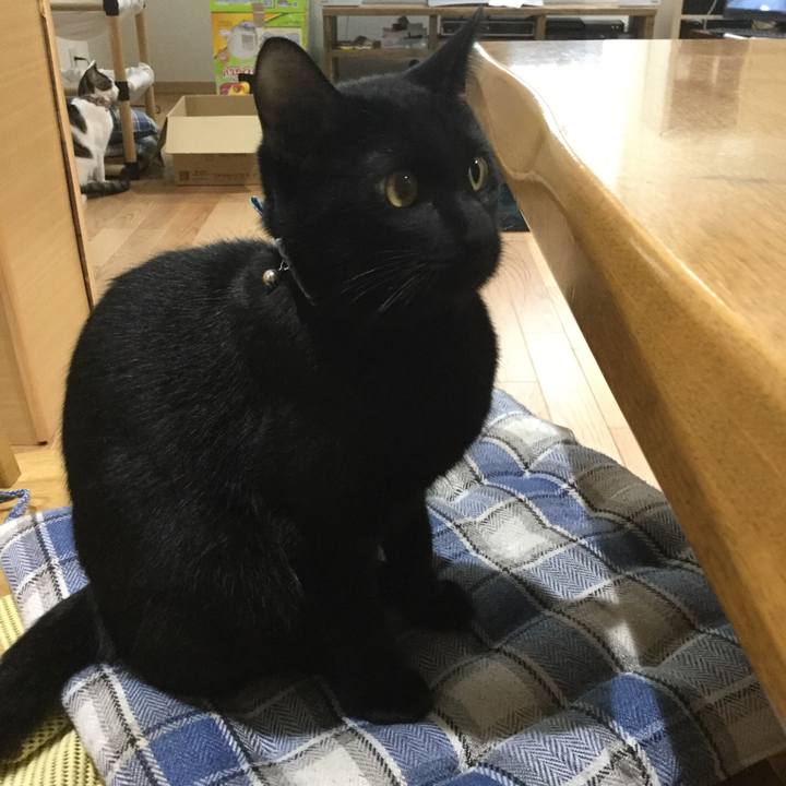 94bb6380 55c7 4519 8cc9 955f8a24a3e7