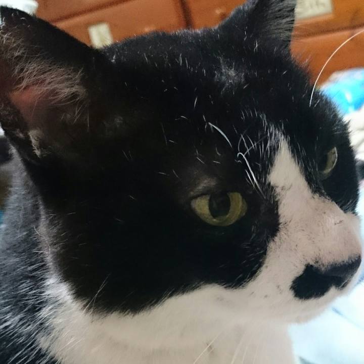 94bc2b37 e62e 4b62 a53f 4c73671e8aa3