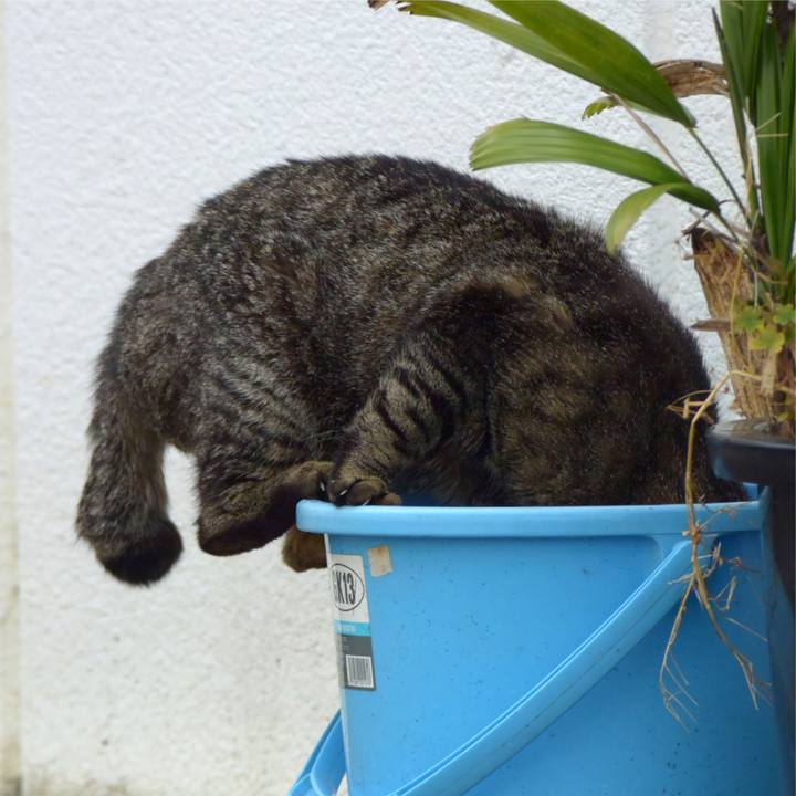 94bcf7ee 4f4c 4419 8b72 bfb677d9919b