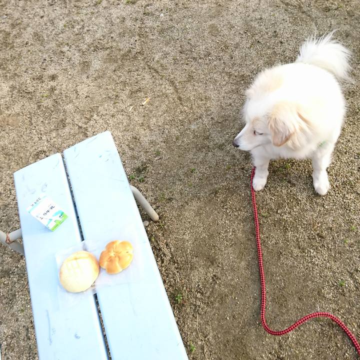 94bd6ae1 fdd5 4c4c a030 197f258c4a97